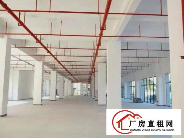  鸡啼岗工业区环评已办，2000平厂房出租带2吨电梯