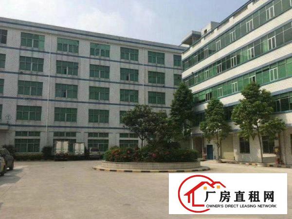  社贝工业区出租1楼整层900平厂房，现成装修