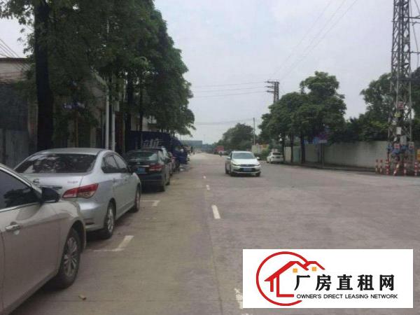  新市社区出租单一层1300平钢构厂房