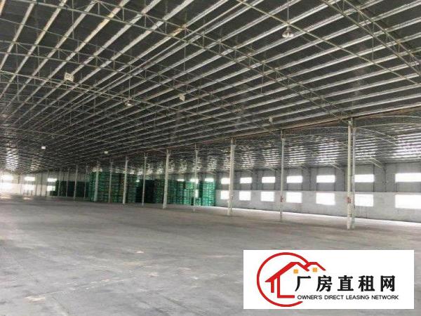  田美工业区无公摊！钢构1100平方厂房，能环评