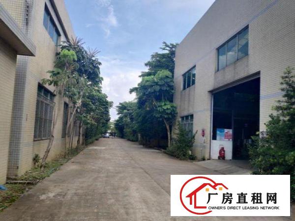  北岸大小可分租！现成环评！独院100平方钢构厂房出租