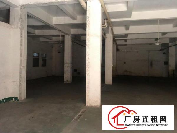  黄江镇原房东一楼实际面积出租