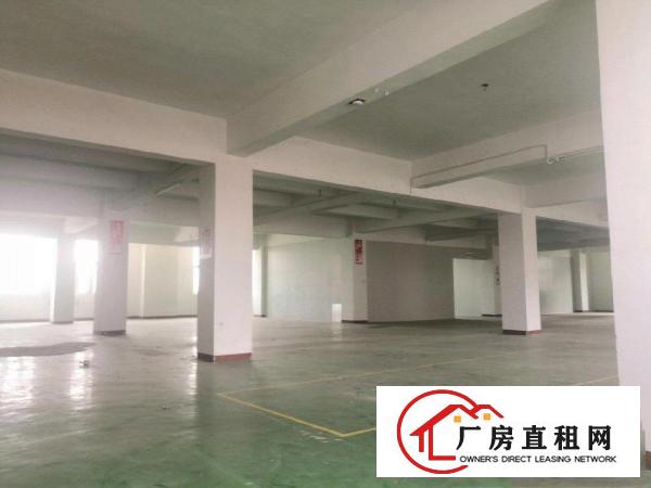  黄江带装修，水电齐全花园式厂房低价放租