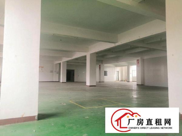 黄江带装修，水电齐全花园式厂房低价放租