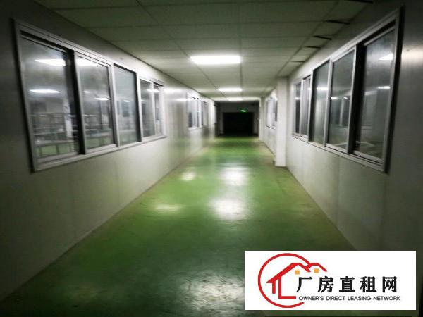  办公车间宿舍配套现成/直接入驻