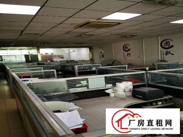  办公车间宿舍配套现成/直接入驻