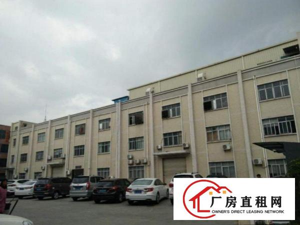  星光新出标准一楼400方，价格便宜，带装修