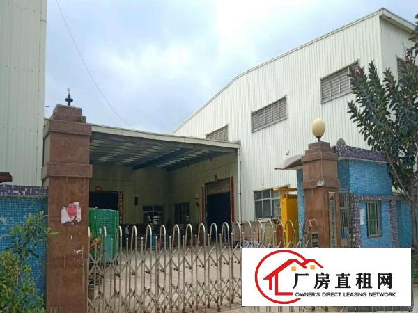  黄江原业主单一层独院钢构厂房出租