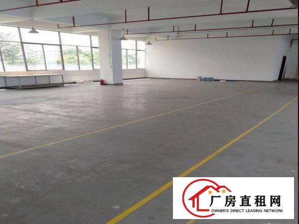  黄江鸡啼岗工业区楼上厂房450平出租，价格实在，带装修