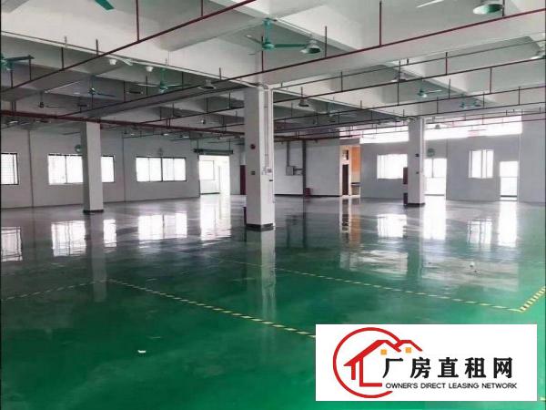  黄江社贝工业区一楼厂房800平低价出租，无公摊