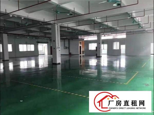  黄江社贝工业区一楼厂房800平低价出租，无公摊