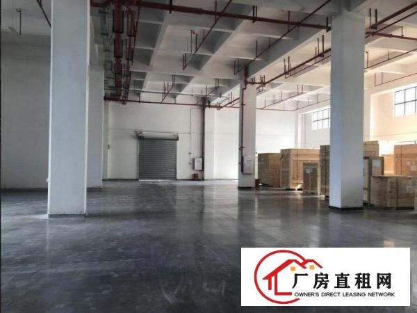  黄江宝山社区一楼标准厂房出租500平，高6米