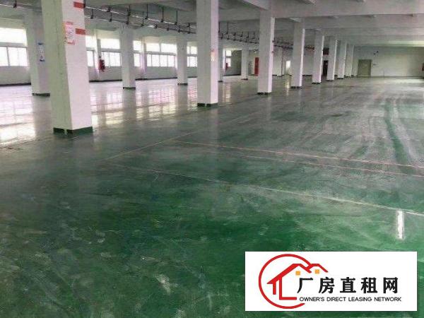  黄江梅塘社区原房东，一楼800平厂房招租，无公摊！