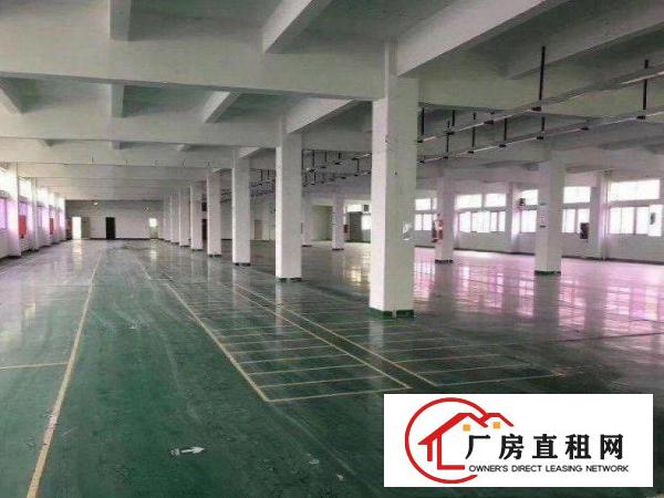  黄江梅塘社区原房东，一楼800平厂房招租，无公摊！
