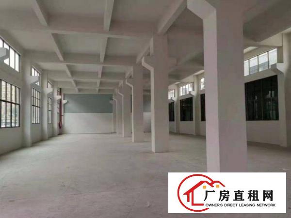  袁屋围标准厂房一楼1200现成水电装修，可以分租