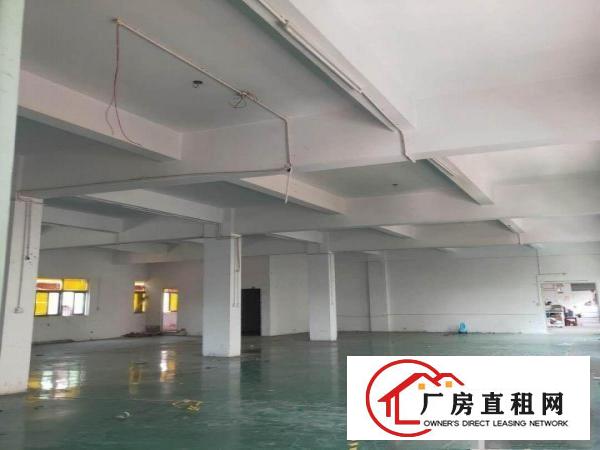  公常路楼层高度:3m左右价格优惠