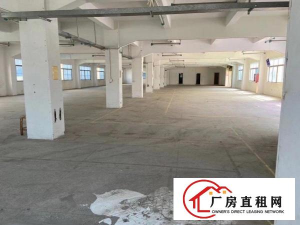  黄江独院厂房出租地理位置优越