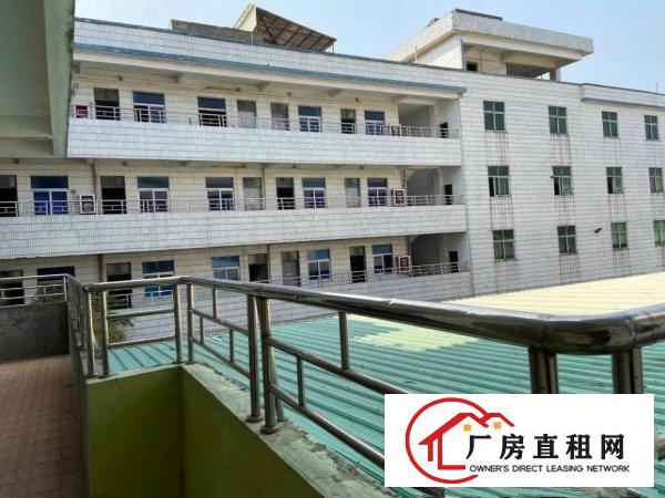  黄江独院厂房出租地理位置优越