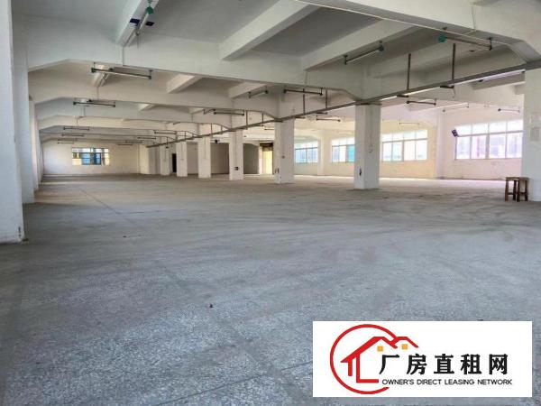  黄江独院厂房出租地理位置优越