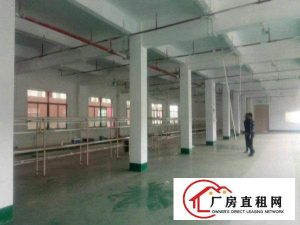  黄江镇田心独门独院工业厂房出租10000平方500起可办环评