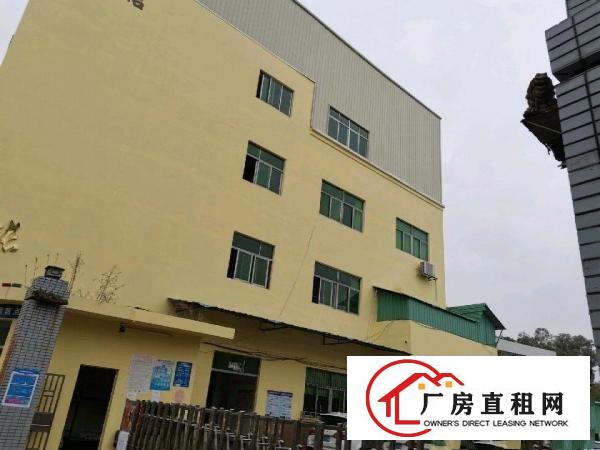  现成全新装修，关键是实用面积，原房东