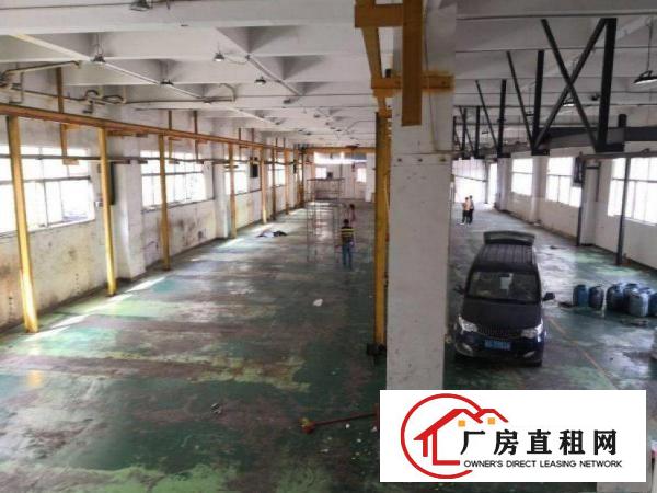  旧村新出1楼1000平带阁楼办公室，车间水电齐全
