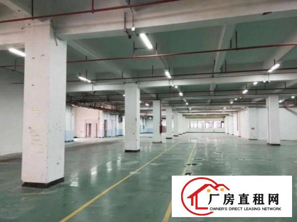  龙见田标准厂房一楼出租400平方原房东，可办环评