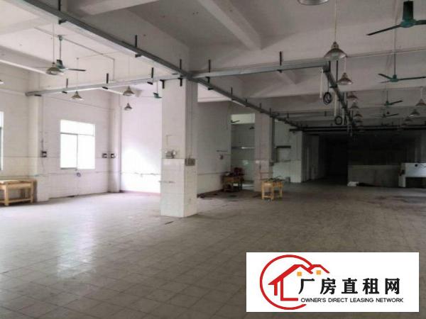  新市新出1楼500平方，办公室装修可办环评出租