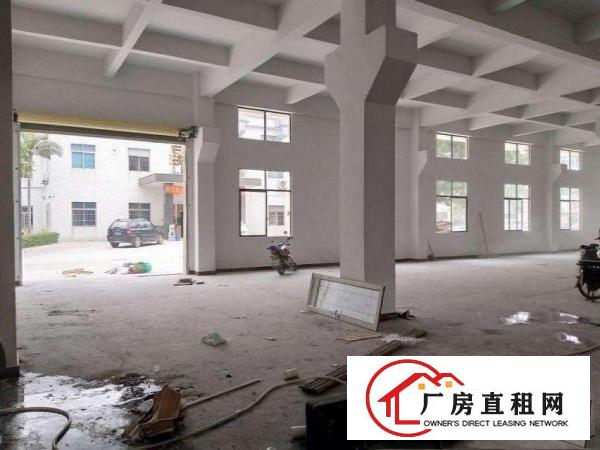  田心经典独院厂房分租一楼1500平方，无公摊，带行车