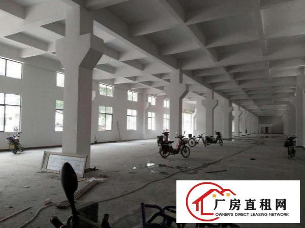  田心经典独院厂房分租一楼1500平方，无公摊，带行车