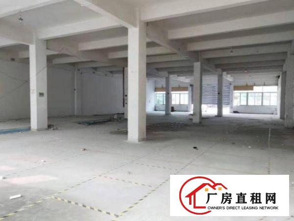  北岸标准厂房一楼800平方出租