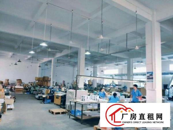  社贝一楼厂房500平高6米，有装修，原房东，可办环评