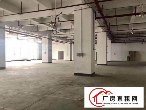  旧村出租一楼300平，无公摊，好办环评