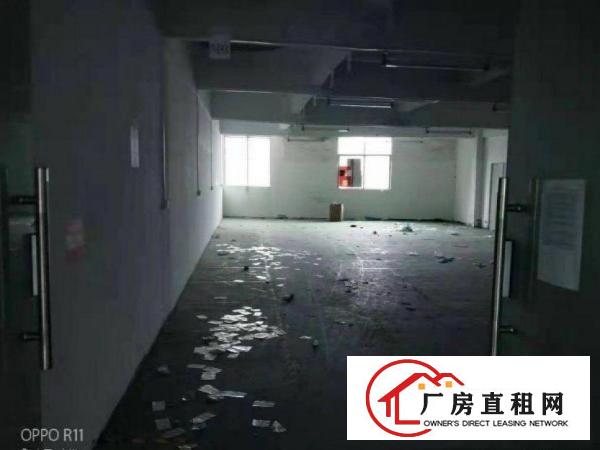  社贝带装修办公室厂房800平出租，可以做有印刷的行业
