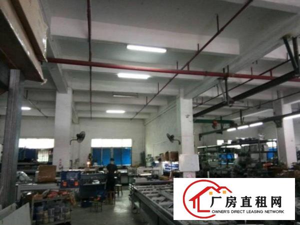  袁屋围一楼厂房出租700平米，消防喷淋，有装修水电齐全