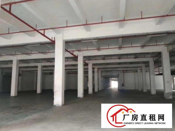  旧村标准厂房一楼1200平，形象好