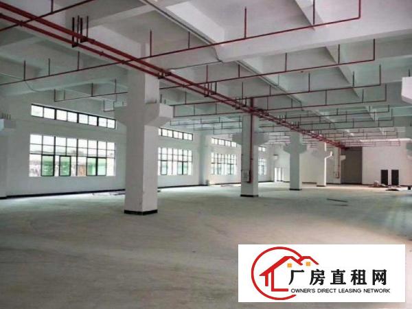  旧村标准厂房一楼1200平，形象好