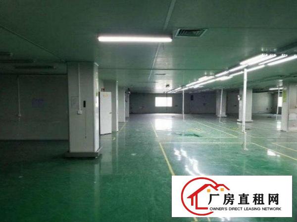  新市新出独院标准两层厂房1200平方分租