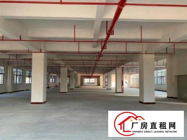  新市新出独院标准两层厂房1200平方分租