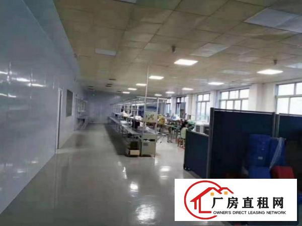  长龙出租新空出一楼1250平方带装修办公室厂房