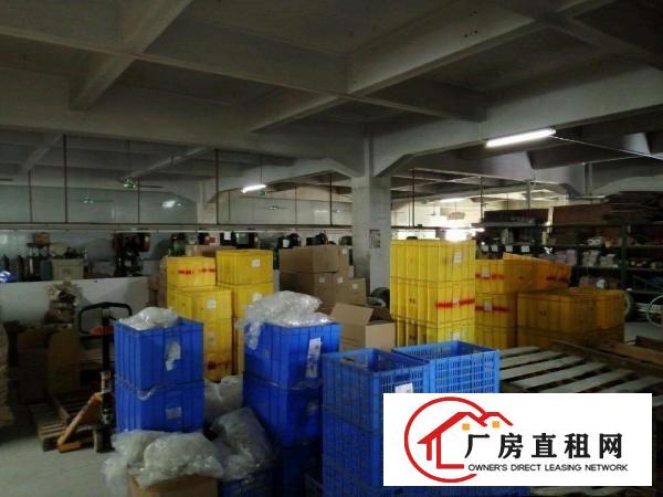  东莞市黄江镇社贝村，与樟木头常平三镇交介处，临近高速