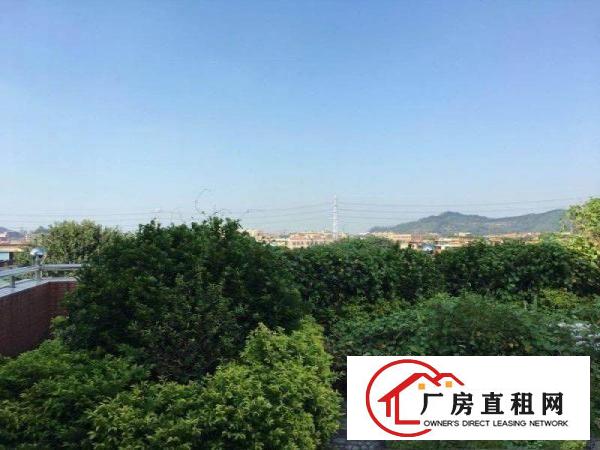  东莞黄江性价比高，环境好的厂房，使用率高！