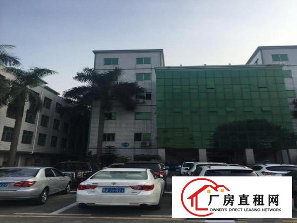  东莞黄江性价比高，环境好的厂房，使用率高！