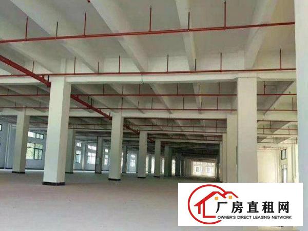  合路标准独院厂房14000平方出租国有土地可办环评