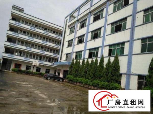  旧村10000平方独门独院标准厂房招租，配电大