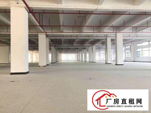  旧村10000平方独门独院标准厂房招租，配电大