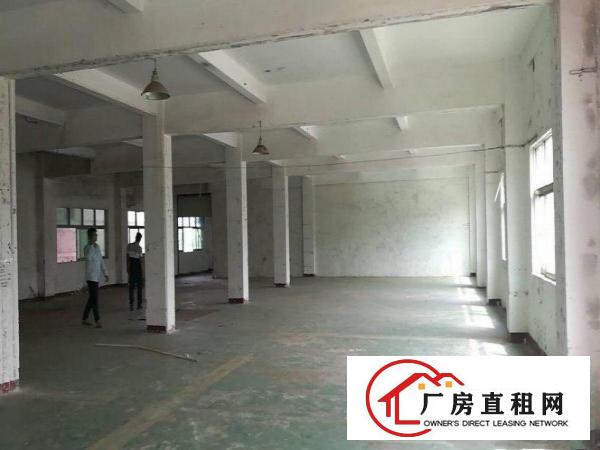  旧村10000平方独门独院标准厂房招租，配电大