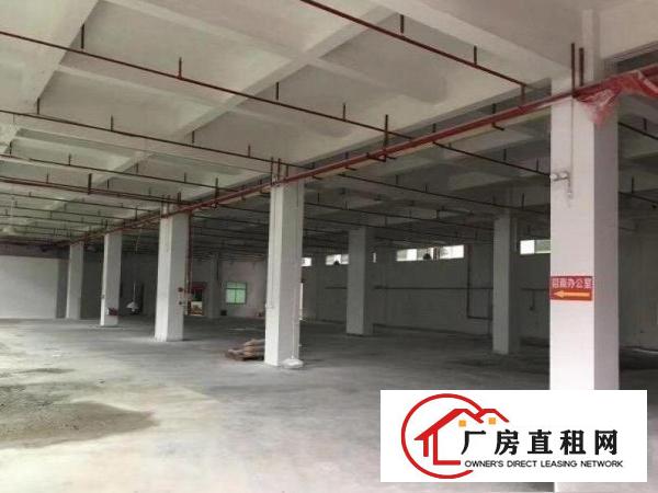  旧村10000平方独门独院标准厂房招租，配电大