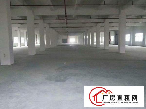  旧村10000平方独门独院标准厂房招租，配电大