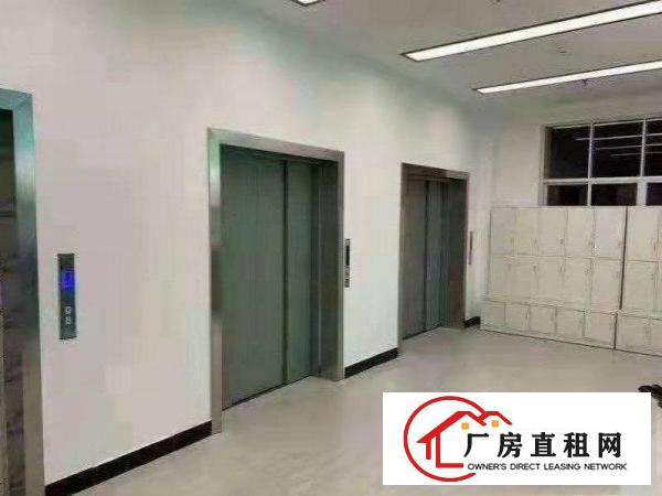  北岸3万平方红本厂房500平方无尘车间转租可办环